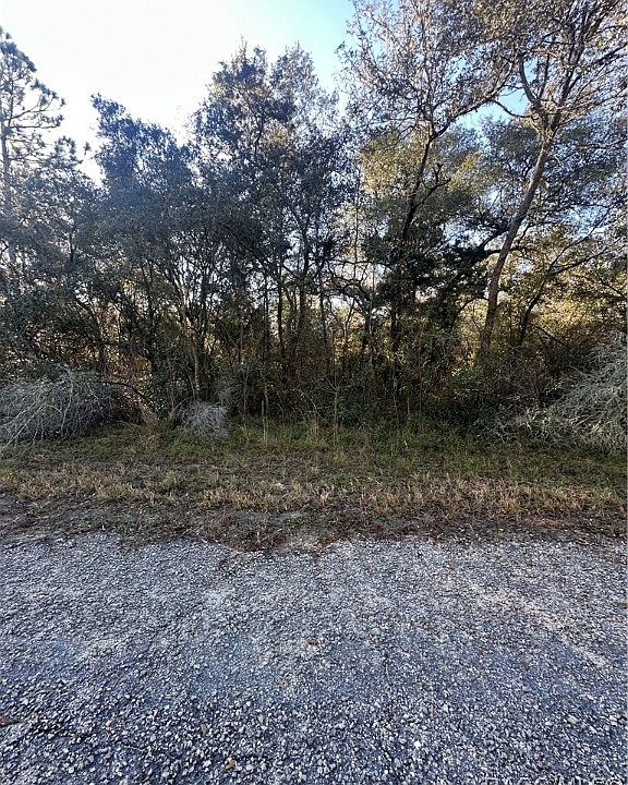 1st image of 3908 W Tropic Ln