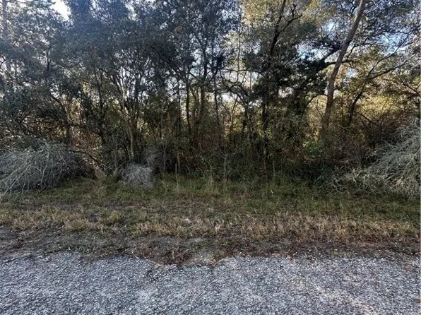 3908 W Tropic Ln, Citrus Springs, FL 34433