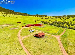 1718 Elk Mountain Rd, Guffey, CO 80820