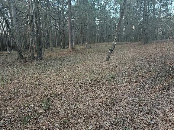 2nd image of 0 Jett Roberts Rd