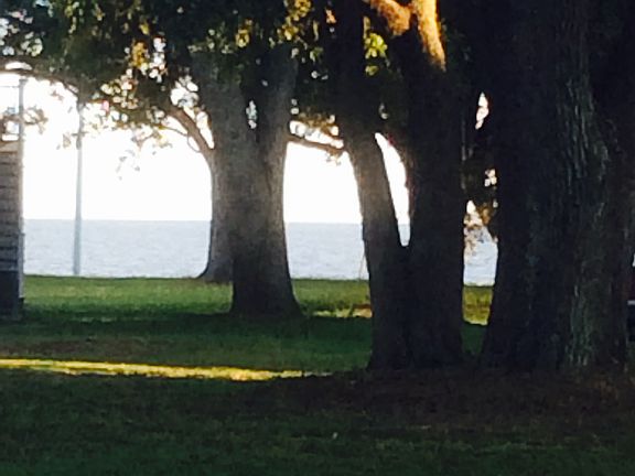 Marshall Rd. Beachview