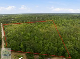 0 Williamson Rd SE, Allenhurst, GA 31301