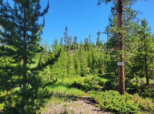 51 GCR 6621, Grand Lake, CO 80447