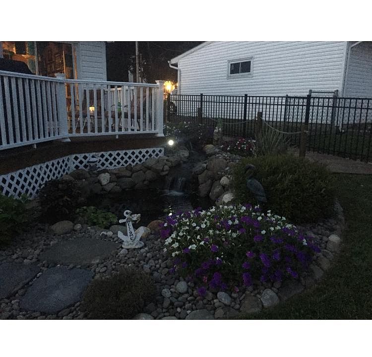 Pond and deck