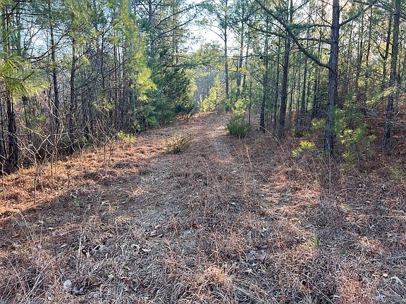 3rd image of 250 County Road 557