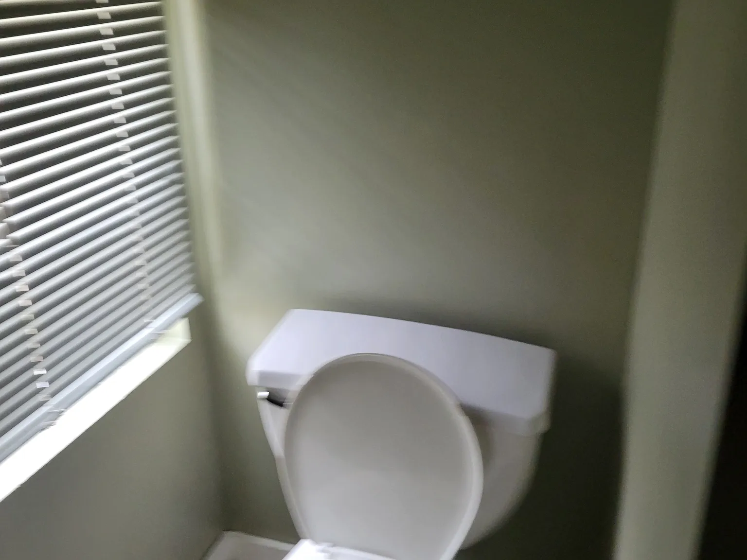 1 bed, $1,100 — Photo 4