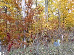 LOT 81 Eden St, Kingsley, MI