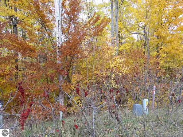 LOT 81 Eden St, Kingsley, MI 49649