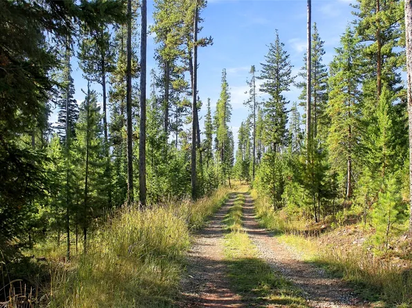LOT 14 Georgetown Lake Rd, Philipsburg, MT 59858