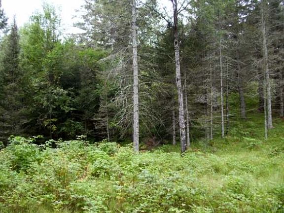 2nd image of 9 HIGHLAND RIDGE LN