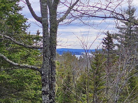 4th image of 39 Needles Eye Road