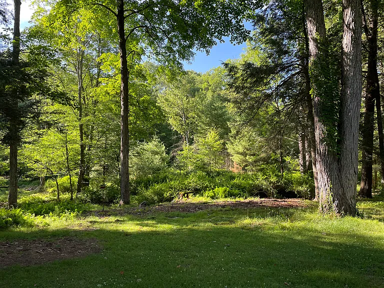 118 Grassy Swamp Rd — Photo 10