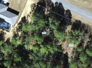 8800 N PARADISEA DRIVE LOT 13, CITRUS SPRINGS, FL 34433