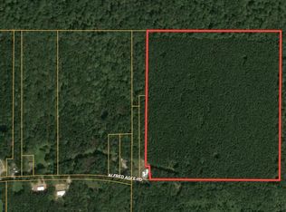 0 Alfred Agee Rd, Morton, MS 39117