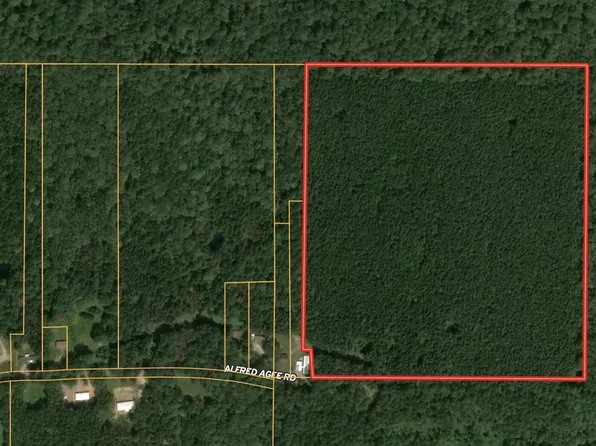 0 Alfred Agee Rd, Morton, MS 39117