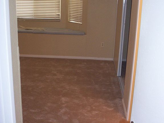 new carpet (master)