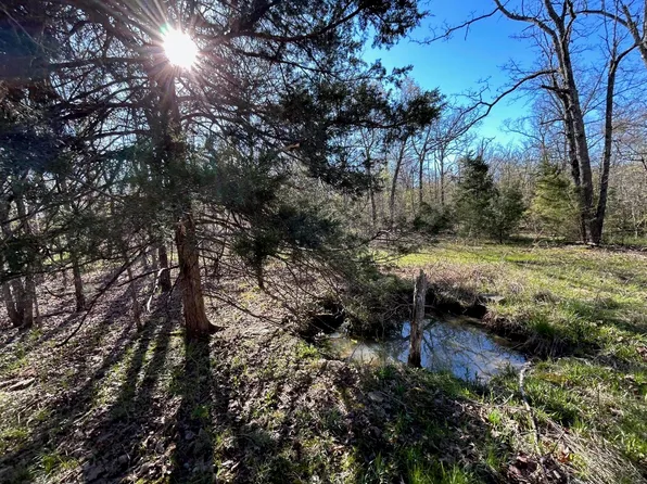 000 Highway V, Myrtle, MO 65778