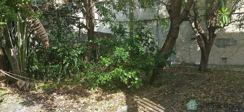 2nd image of 429 Ardmore Rd #C