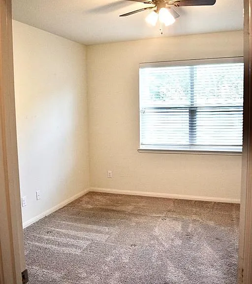 1223 Diamond Drape Dr — Photo 6