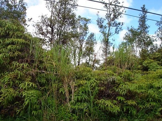 1st image of Lehua St Lot 6855