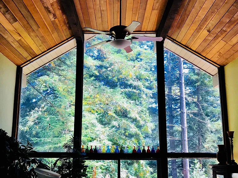 23' tall Living Room cathedral ceiling and view