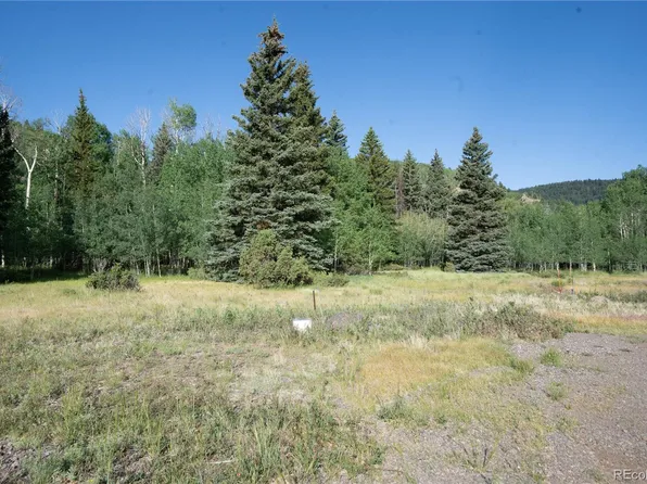 42 W Peregrine, Antonito, CO 81120