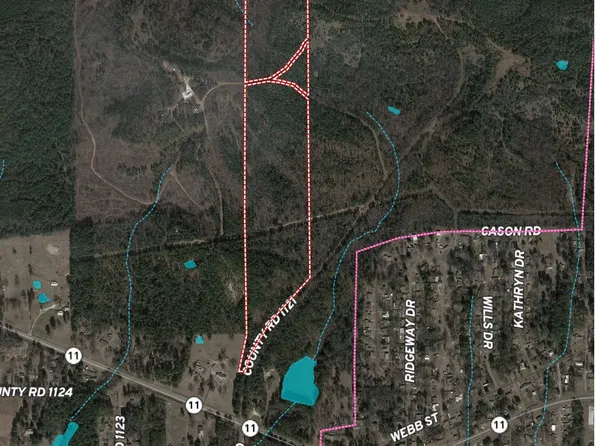 County Road 1121, Daingerfield, TX 75638