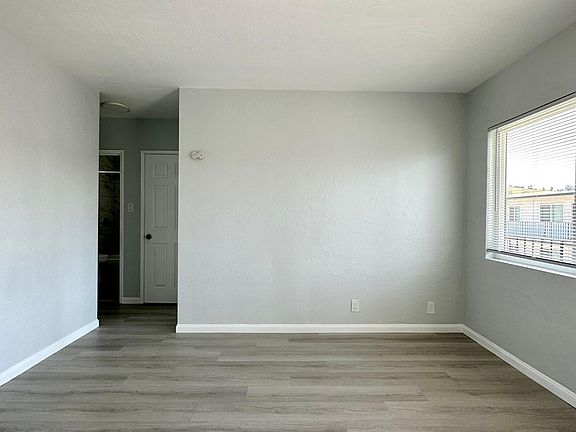 Living Room - Lots of Natural Light