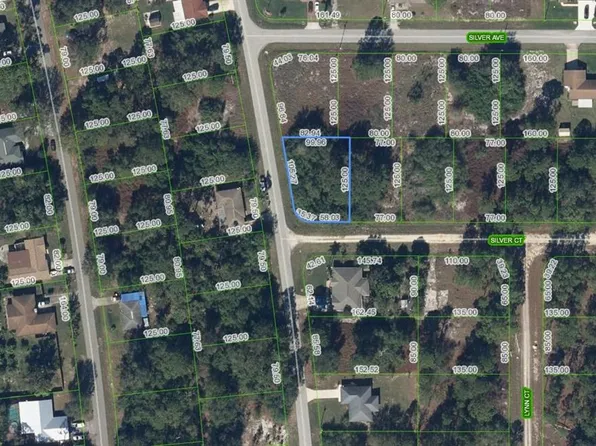 216 Silver Ct, Lake Placid, FL 33852