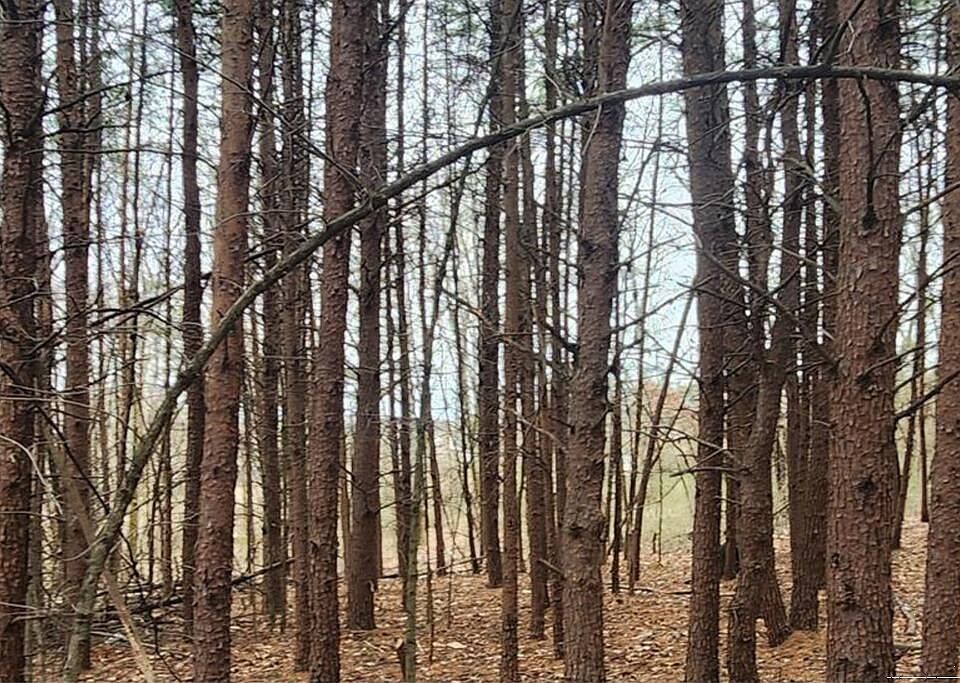 2nd image of 0 Mapleridge Rd