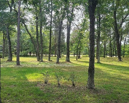 5th image of 1038 Long Bow Ct