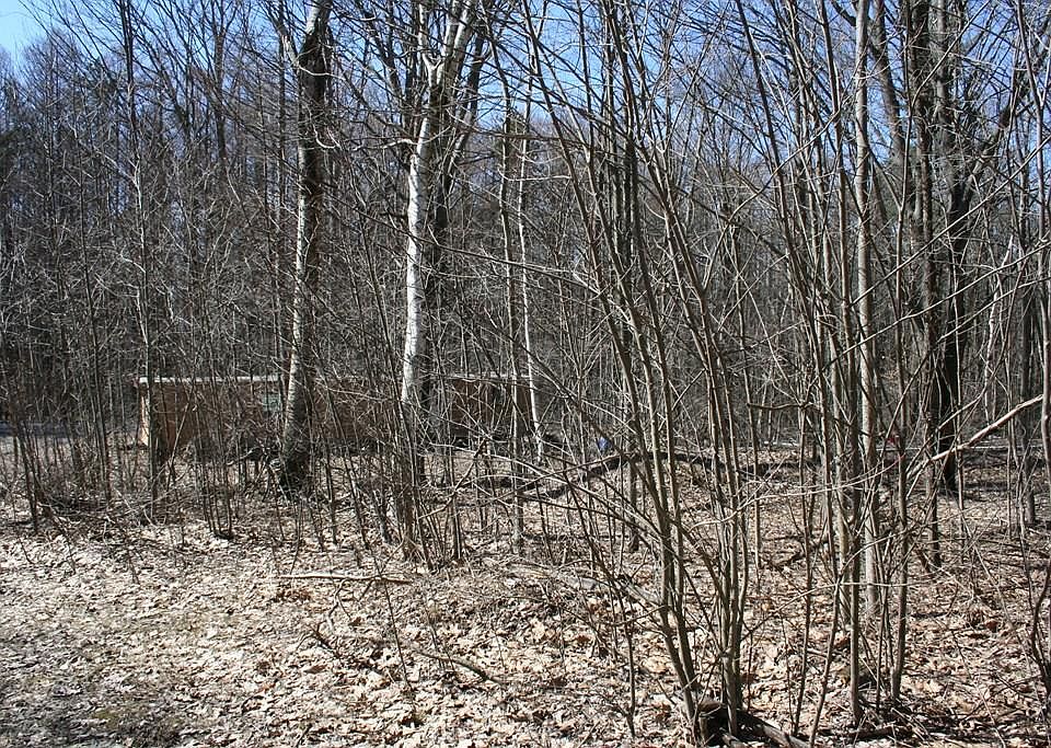 2nd image of 7 Cold Mountain Ln