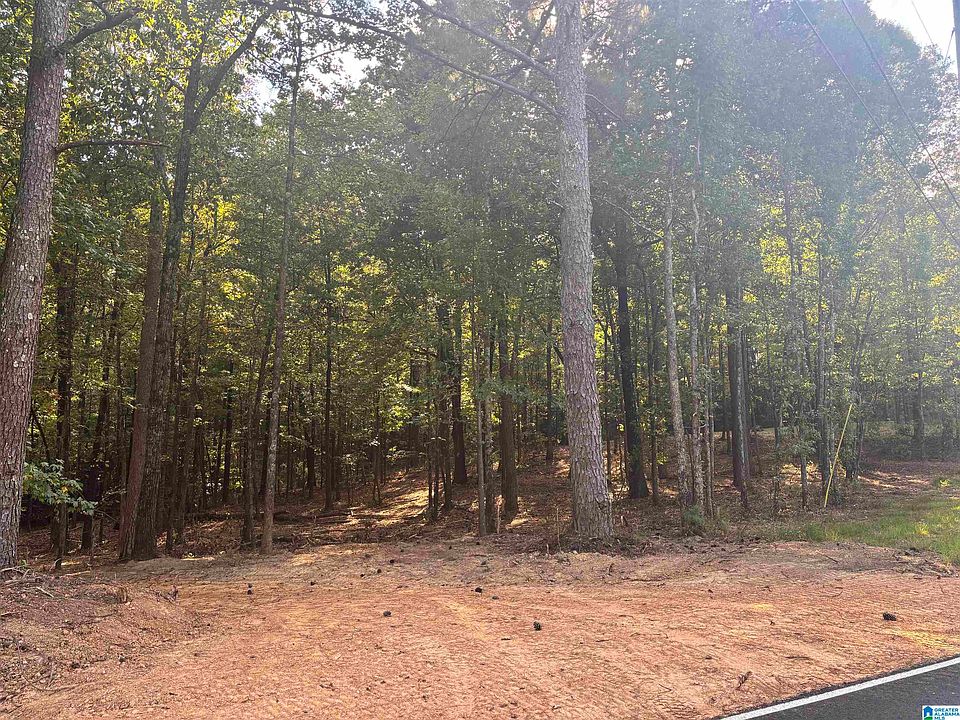 2nd image of LOT 2 Morton Rd