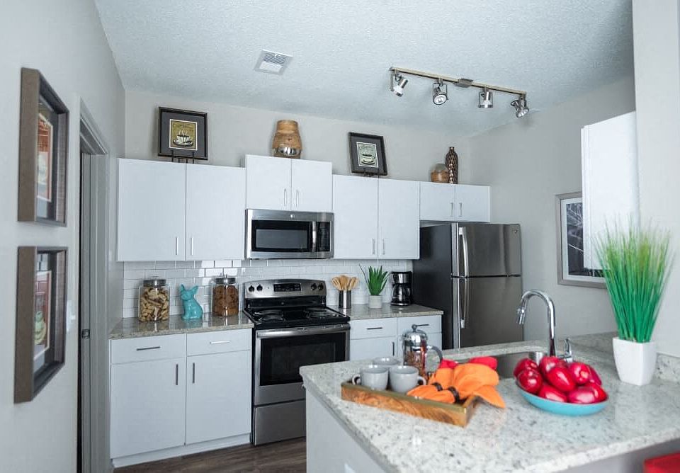 Upgraded Kitchen