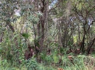 Chase Ct, Mount dora, FL 32757