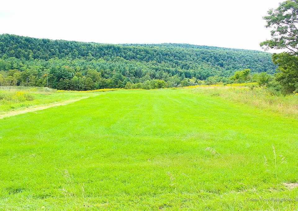 2nd image of 247 Pierce Creek Rd