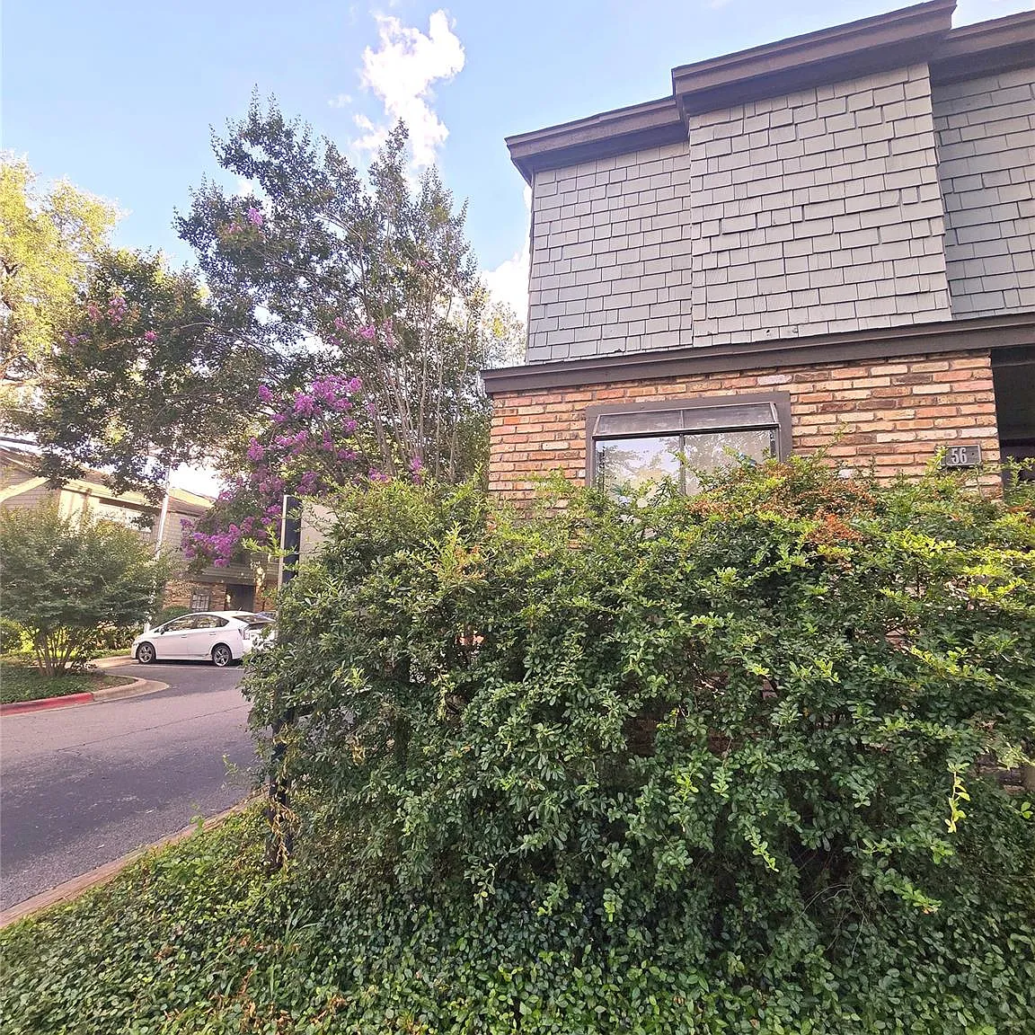 1 bed, 1.0 bath, 925 sqft, $1,800 — Photo 1