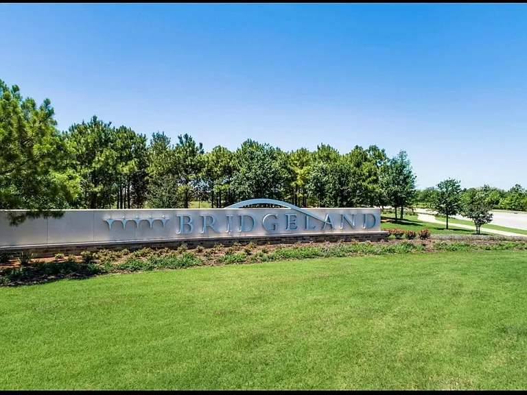 12623 Blue Catfish Ln — Photo 19