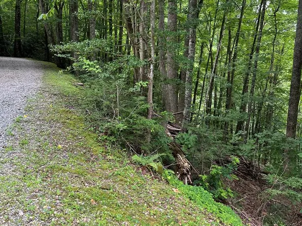 Lot3sec3 Rhododendron Dr, Topton, NC 28781