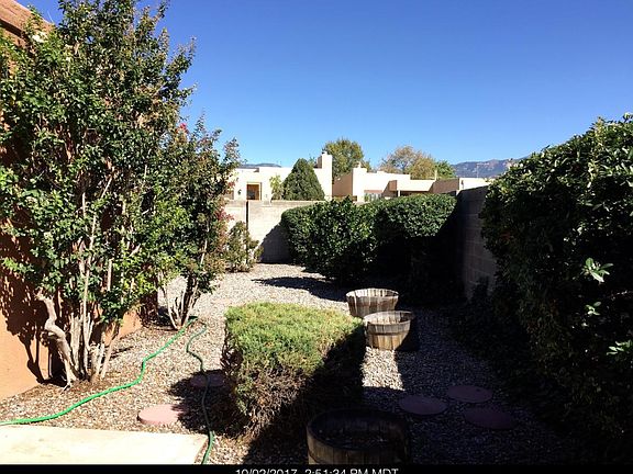 Backyard1