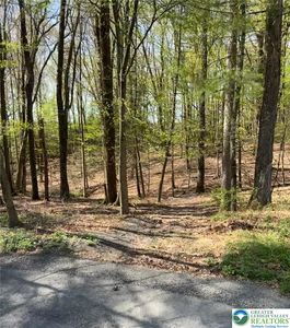 Tiger Lilly Ln, Saylorsburg, PA, 18353