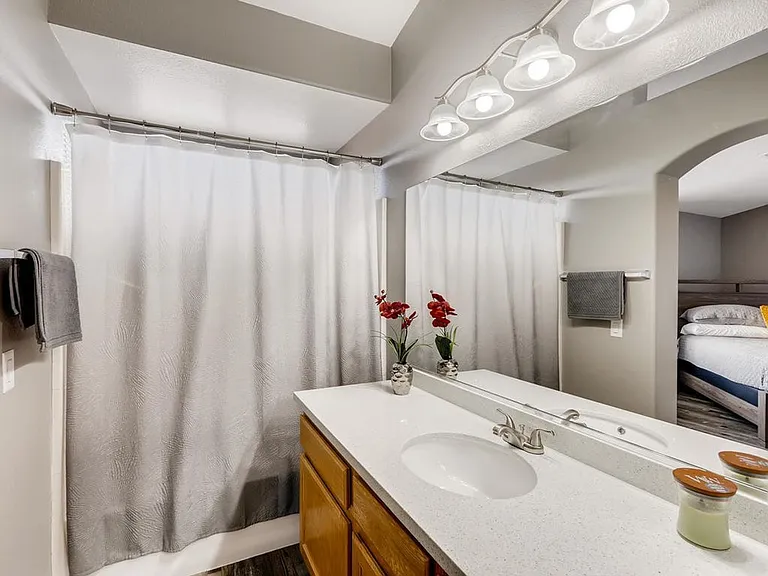 1232 Dusty Creek St — Photo 18