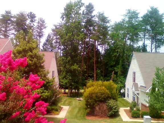 View from Master Window