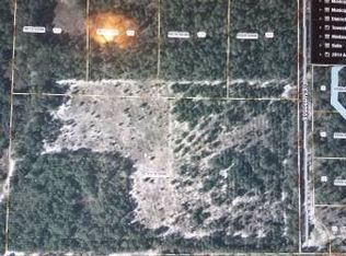 115 Blueberry Hill Rd, Pomona Park, FL 32181