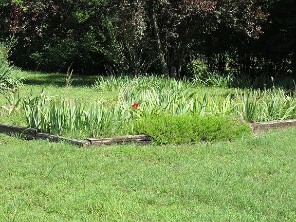 3rd image of 1457 W River Dr