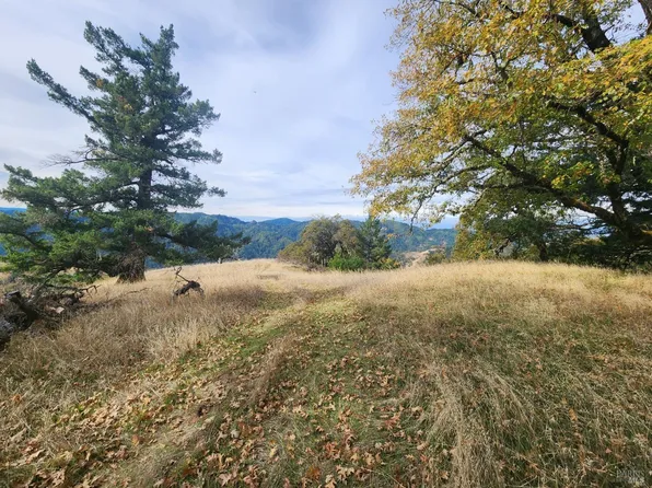 15501 Ridgeview Road, Willits, CA 95490