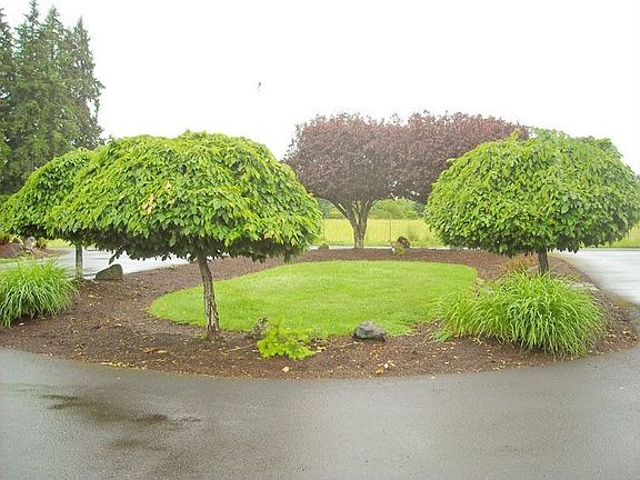View from Covered porch