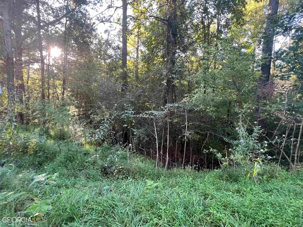0 Cochran Mill Rd, Palmetto, GA 30268