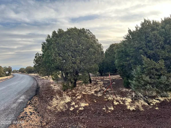 12 N 3178th, Vernon, AZ 85940