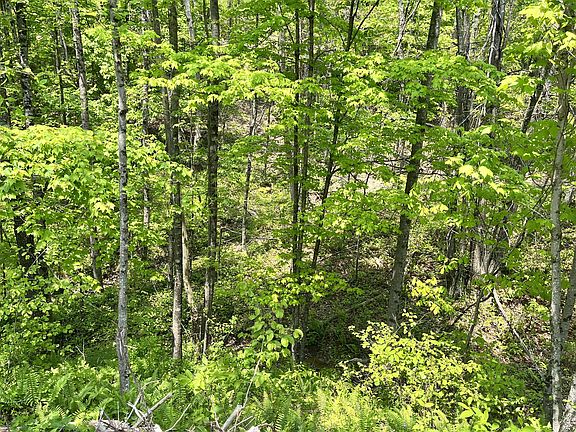 2nd image of 27229 Township Road 16 #J